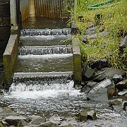 Picture 059